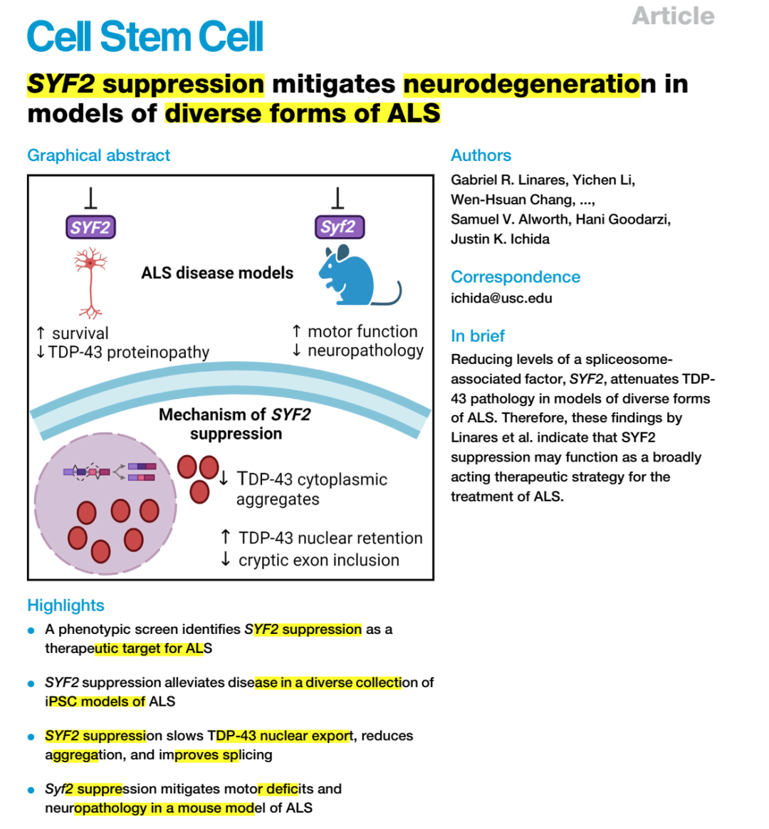 Cell Stem Cell：漸凍癥研究重磅突破：抑制SYF2可改善多個(gè)ALS疾病模型的神經(jīng)變性過程