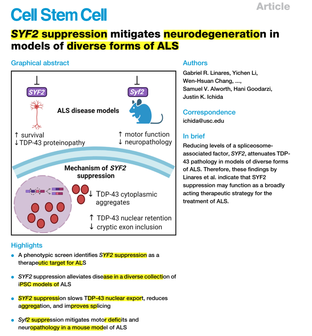 Cell <font color="red">Stem</font> Cell：渐冻症研究重磅突破：抑制SYF2可改善多个ALS疾病模型的神经变性过程