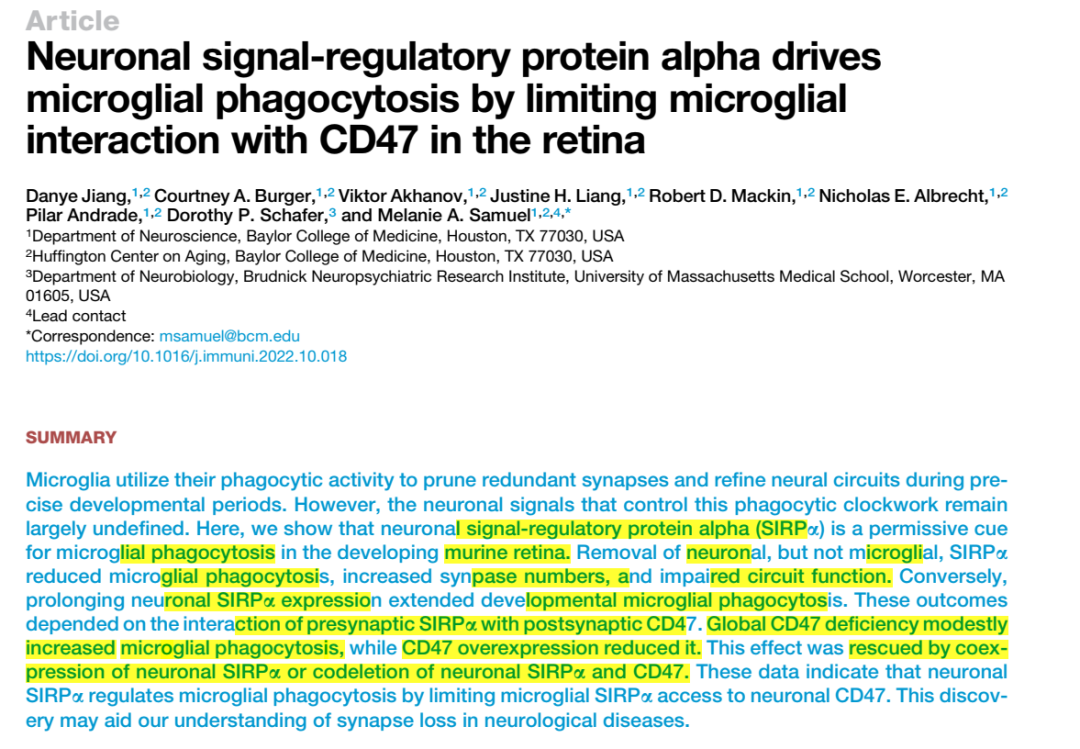 Immunity—小胶质细胞研究重磅突破：神经元SIRPα调控小胶质细胞对突触的吞噬作用-MedSci.cn