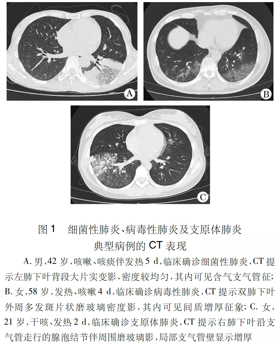细菌性、病毒性及支原体肺炎CT特征
