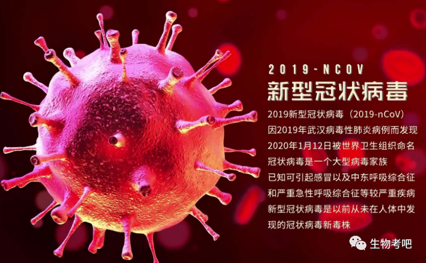 新冠病毒感染与免疫调节