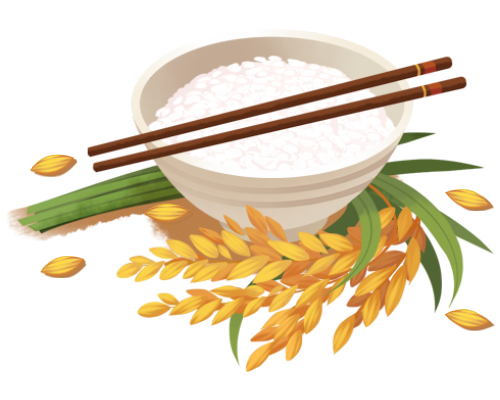 白米饭是“最差<font color="red">主食</font>”？煮饭时一个小改变，帮你平稳血脂、血糖！