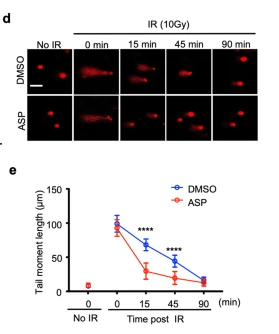Cell Research：阿司匹林能促进DNA双链断裂高保真<font color="red">修复</font>，从而能预防癌症