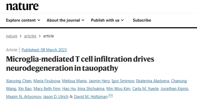 阿尔茨海默病治疗新策略！Nature：阻断T细胞预防神经退行性变