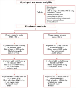 A sham-controlled randomised trial of pulmonary artery denervation for Group  1 pulmonary arterial hypertension: one-year outcomes of the PADN-CFDA trial  - EuroIntervention