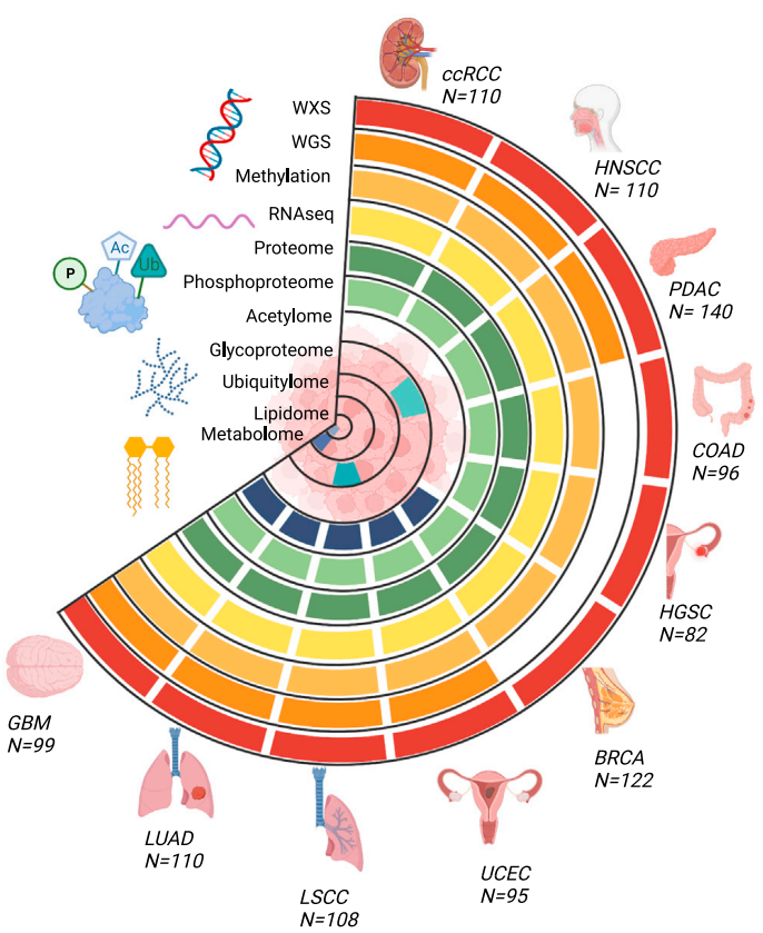 Cancer Cell：CPTAC发布蛋白基因组学共享数据资源