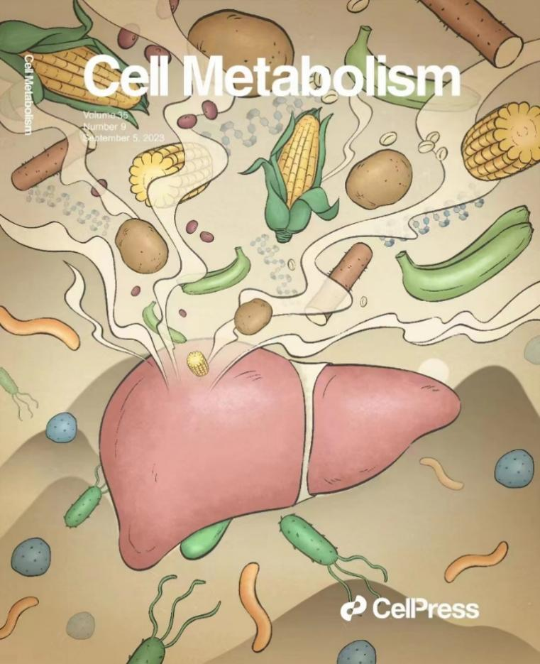 Cell Metab：封面！上海交通大学贾伟平等团队合作发现多吃这类食物，减轻脂肪肝