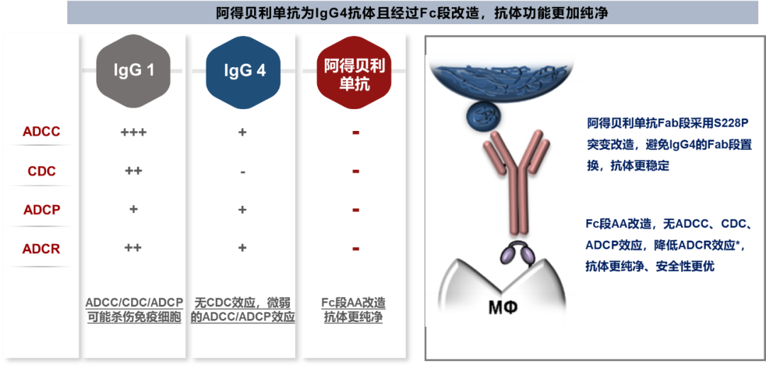 重磅更新 | <font color="red">阿</font><font color="red">得</font><font color="red">贝利</font><font color="red">单抗</font>纳入中华医学会肺癌临床诊疗指南1类推荐！