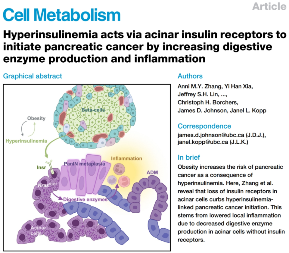 Cell Metabo：实锤了！胰岛素升高是诱发胰腺癌的关键