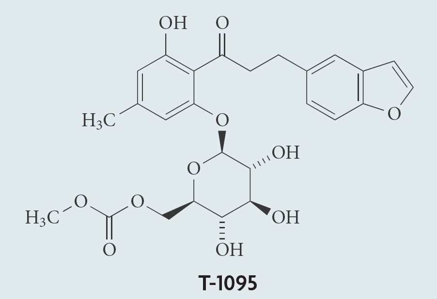 由根皮苷到坎格列净：来源于植物的神奇降糖新药