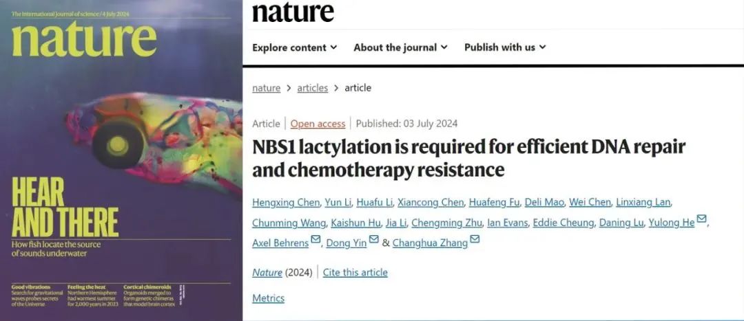 Nature：中山七院何裕隆、张常华教授团队发表肿瘤耐药机制研究