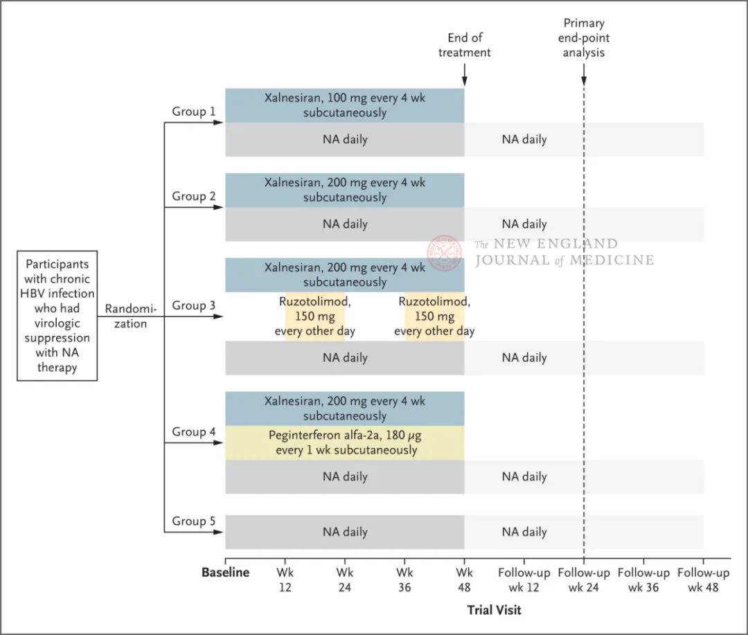 NEJM：侯金林、张文宏团队发现乙肝新药<font color="red">Xalnesiran</font>大幅度提高表面抗原转阴率（Piranga研究）