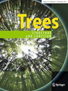 TREES-STRUCT FUNCT