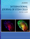 INT J STEM CELLS