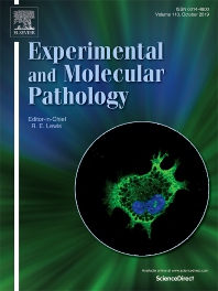 EXP MOL PATHOL EXP MOL PATHOL