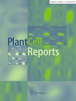 PLANT CELL REP PLANT CELL REP