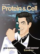 PROTEIN CELL PROTEIN CELL