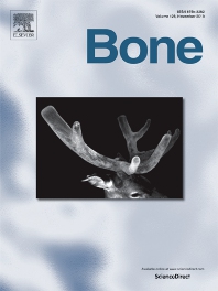 BONE BONE