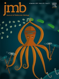 J MOL BIOL J MOL BIOL