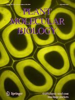 PLANT MOL BIOL PLANT MOL BIOL