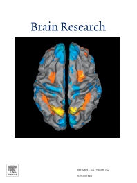 BRAIN RES BRAIN RES