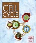 CELL CYCLE CELL CYCLE