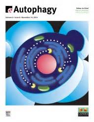 AUTOPHAGY AUTOPHAGY
