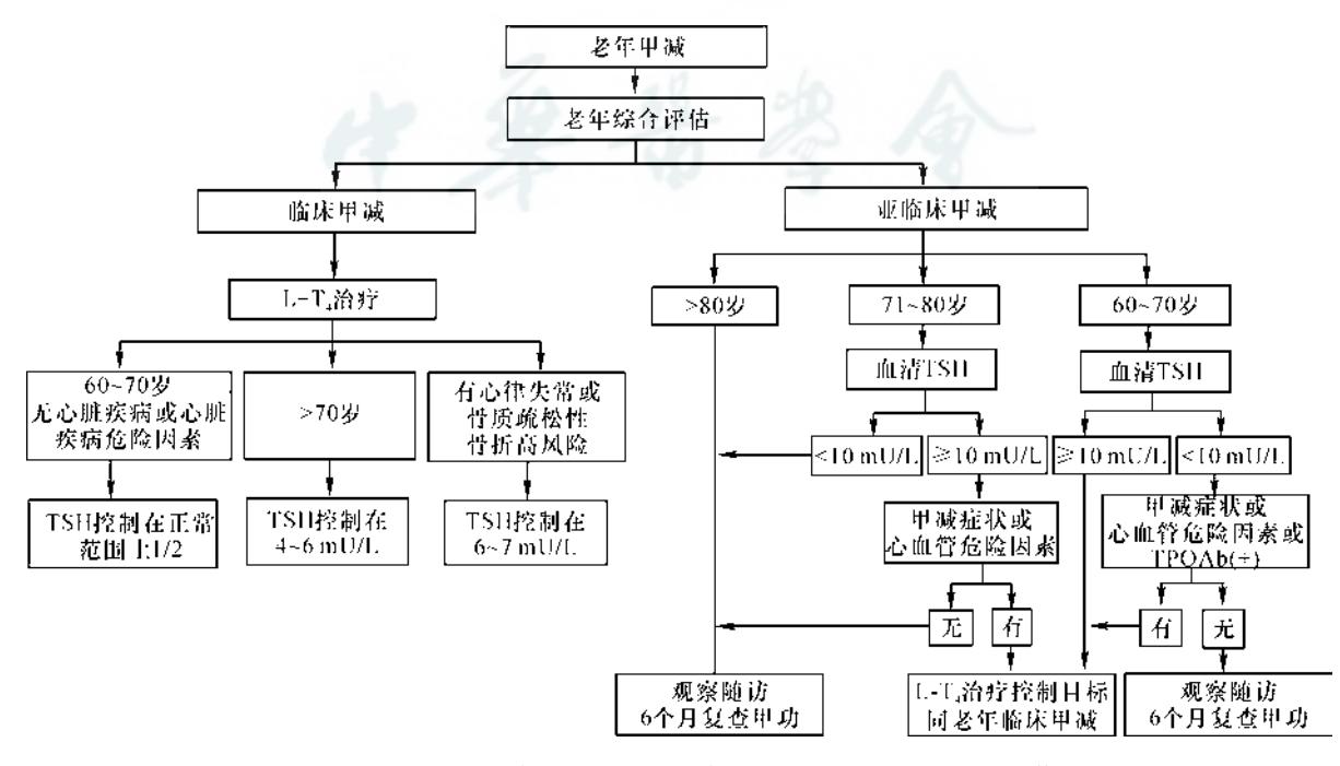老年甲减诊治临床路径流程图