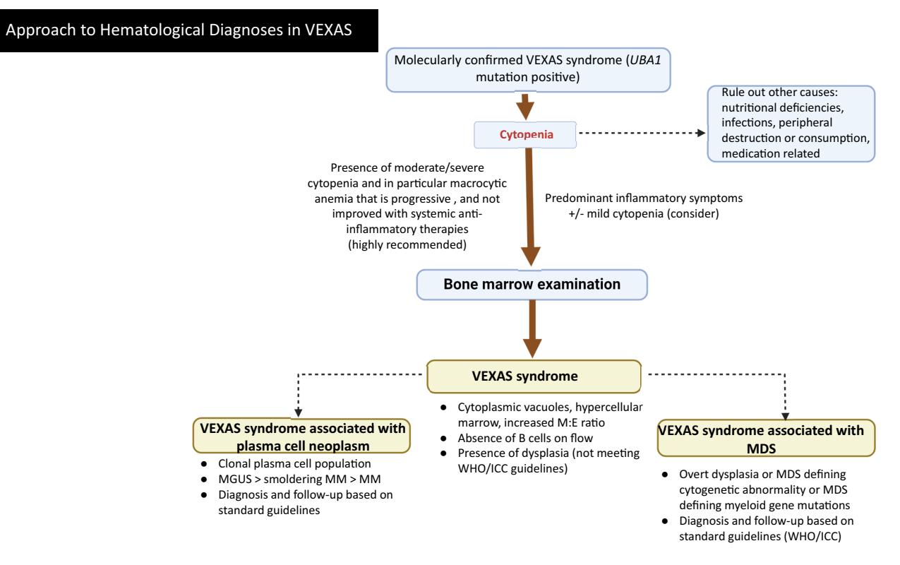 VEXAS血液学诊断流程图