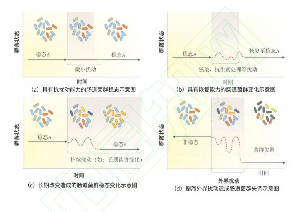 【人体肠道菌群主要特征的专家共识】肠道菌群稳态响应模式示意图