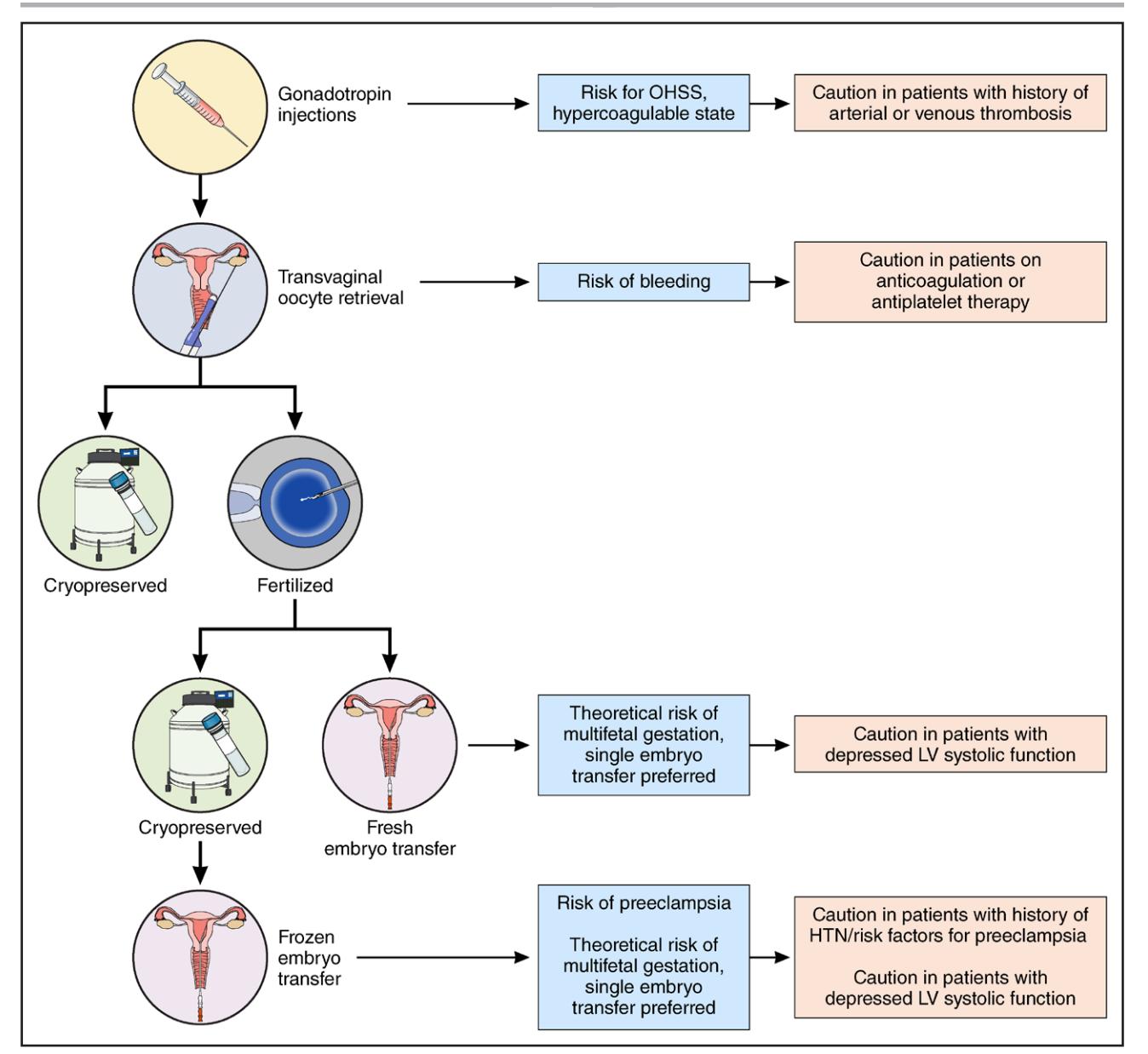 image_category: FLOWCHART/ART clinical pathway | b...