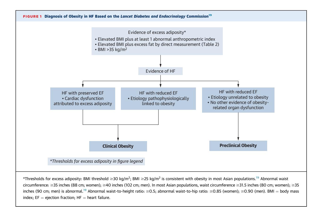 【Lancet Diabetes & Endocrinology Commission】Diagnostic Algorithm for Obesity in Heart Failure