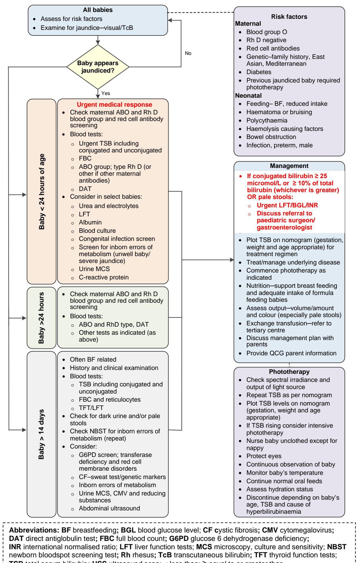 【新生儿黄疸临床管理流程图】Assessment and Management of Neonatal Jaundice