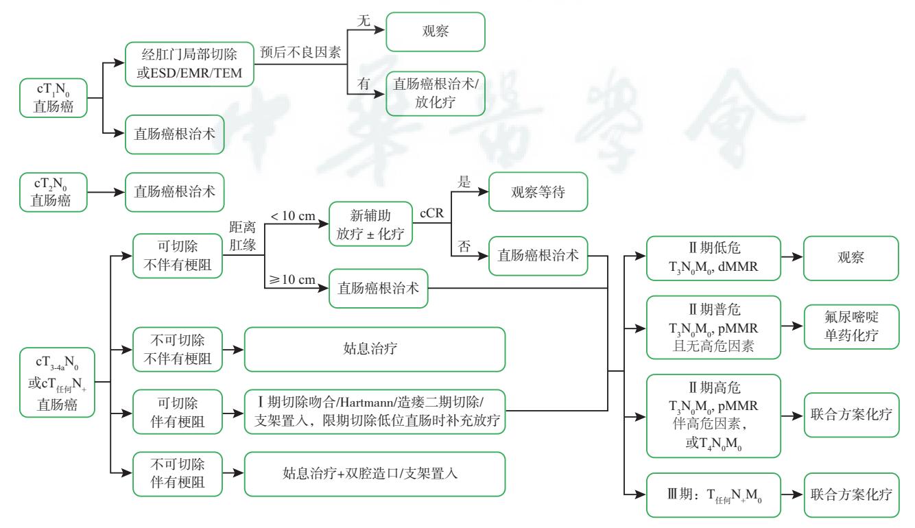 【中国恶性肿瘤整合诊治指南—直肠癌(2024版)】直肠癌临床诊疗路径图