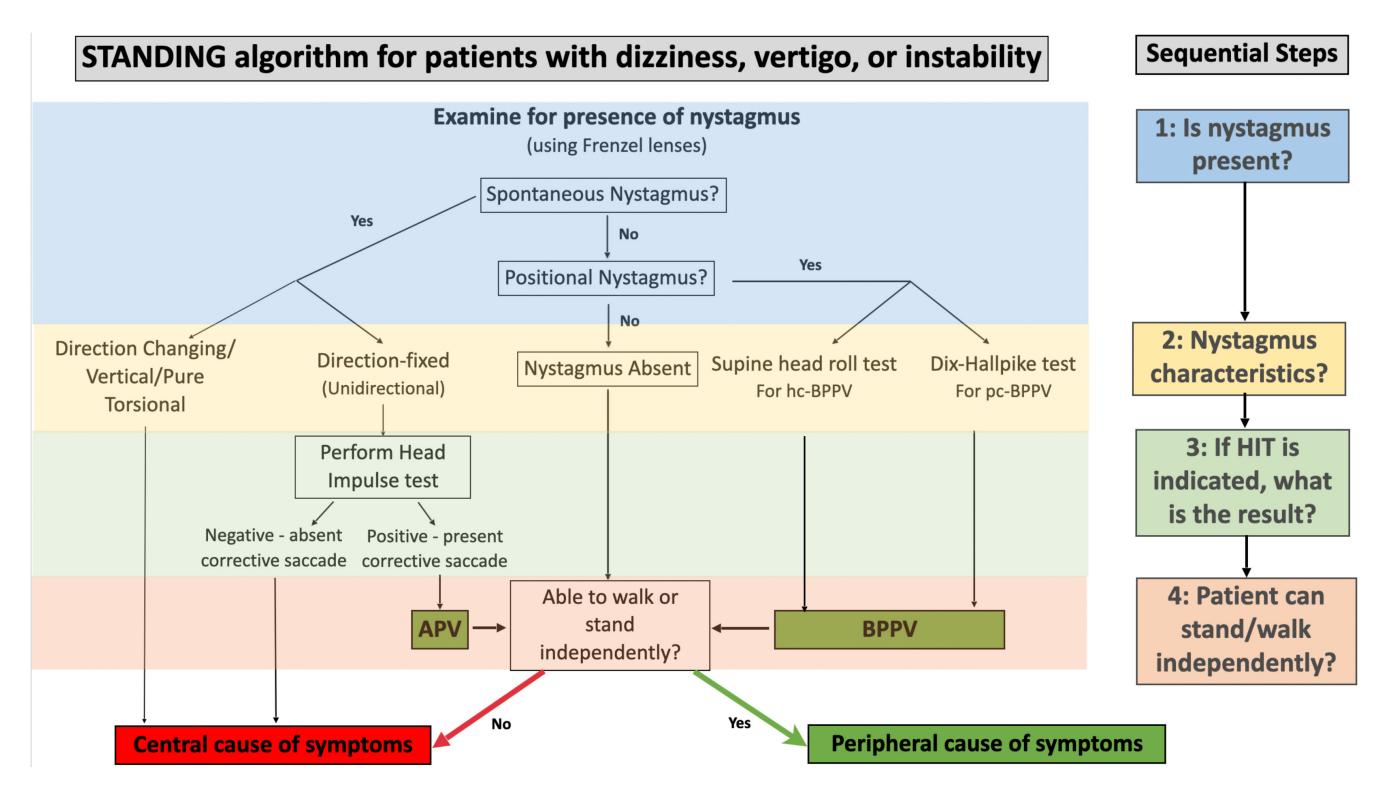 【STANDING Algorithm】Diagnostic Algorithm for Dizziness and Vertigo