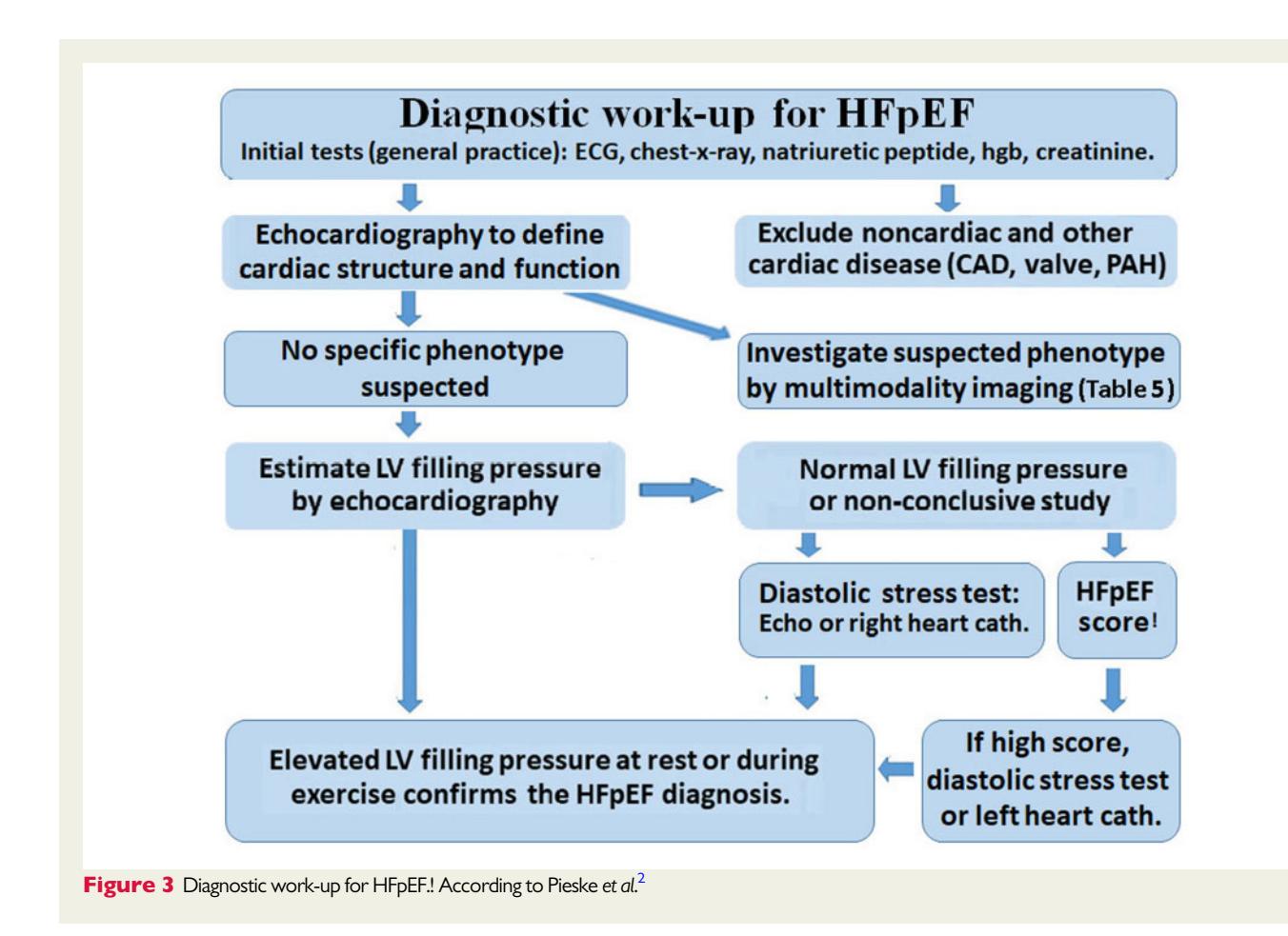 【HFpEF诊断流程图】Diagnostic work-up for HFpEF