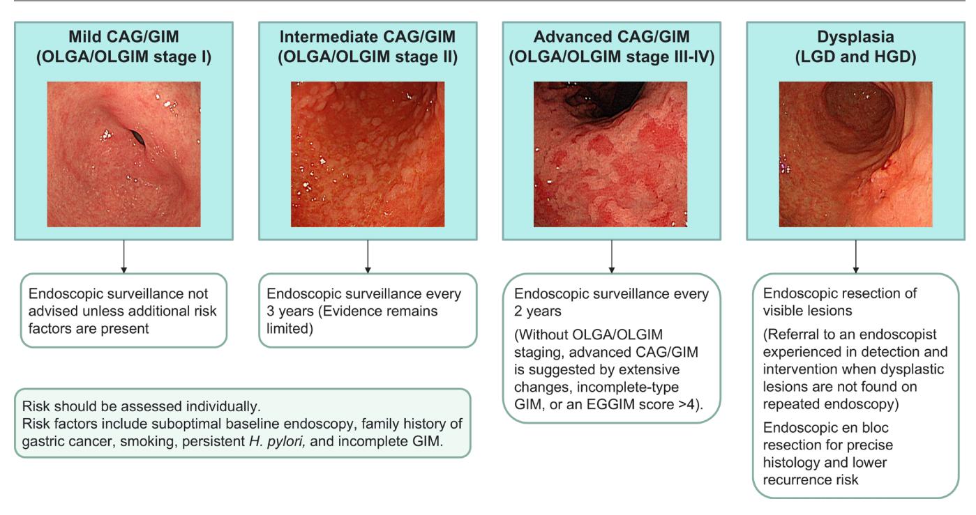 【Asian Pacific Association of Gastroenterology task force recommendations on surveillance for Helicobacter pylori associated gastric premalignant conditions】Clinical Management Guideline
