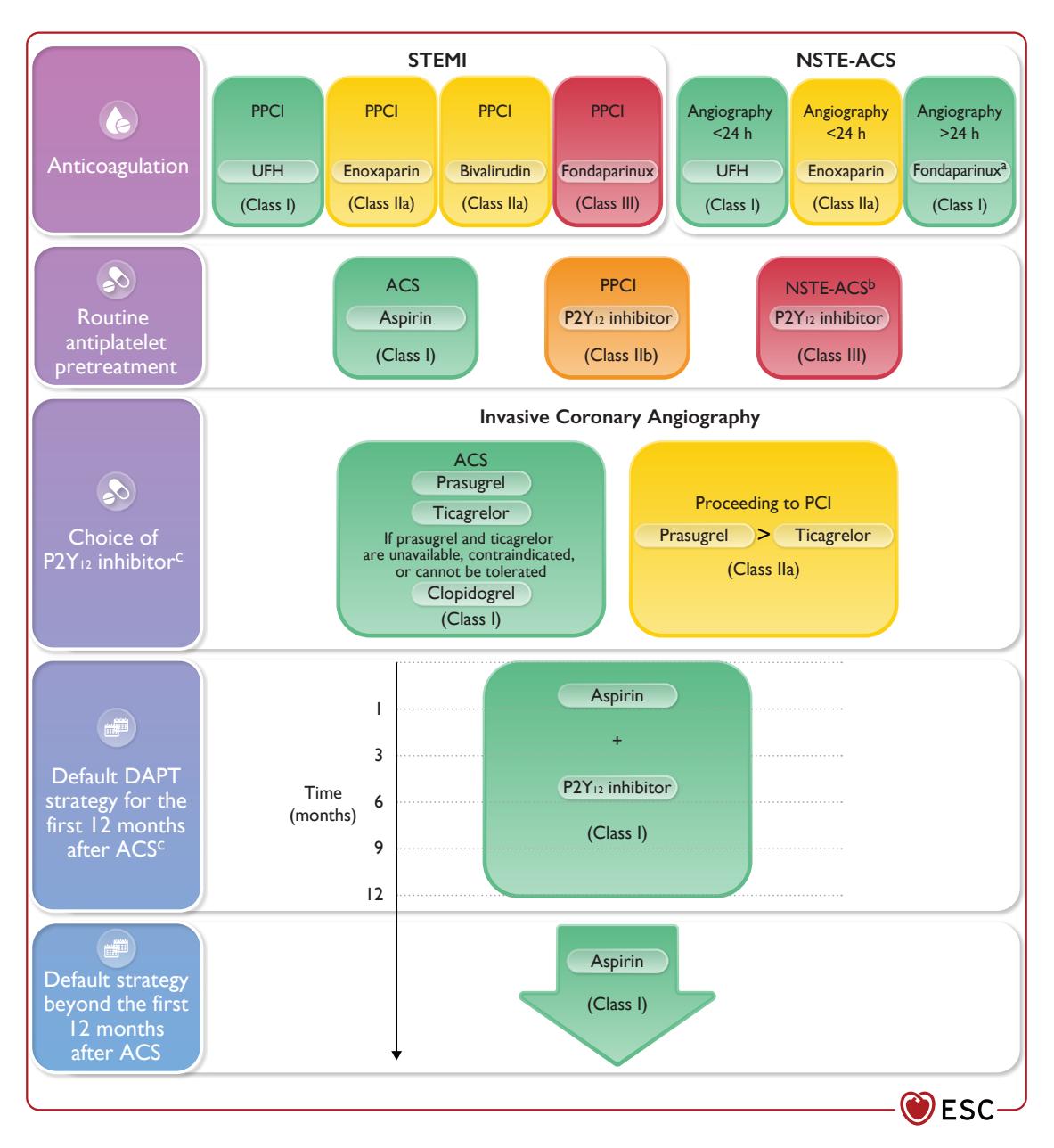 FLOWCHART/Antiplatelet therapy management algorithm
