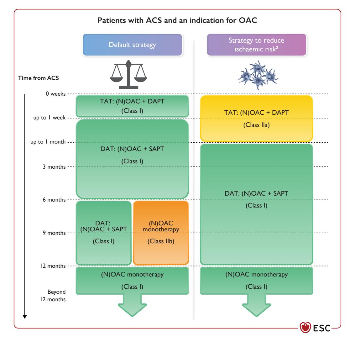 【2023 ESC Guidelines for the management of acute coronary syndromes】Antithrombotic treatment algorithm for ACS and OAC