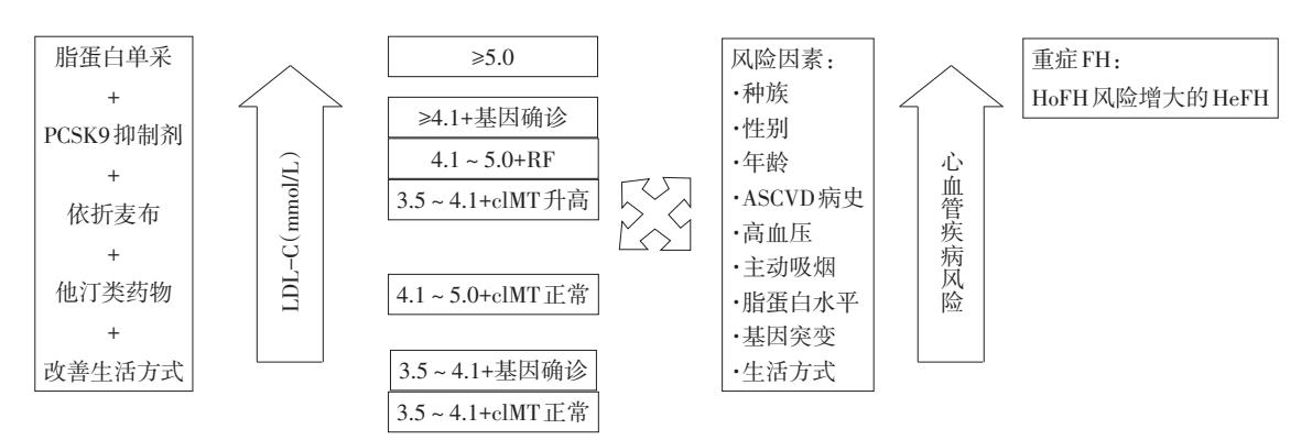 【2021年《儿童和青少年杂合家族性高胆固醇血症风险评估和临床管理专家共识》解读】家族性高胆固醇血症(FH)诊疗路径图