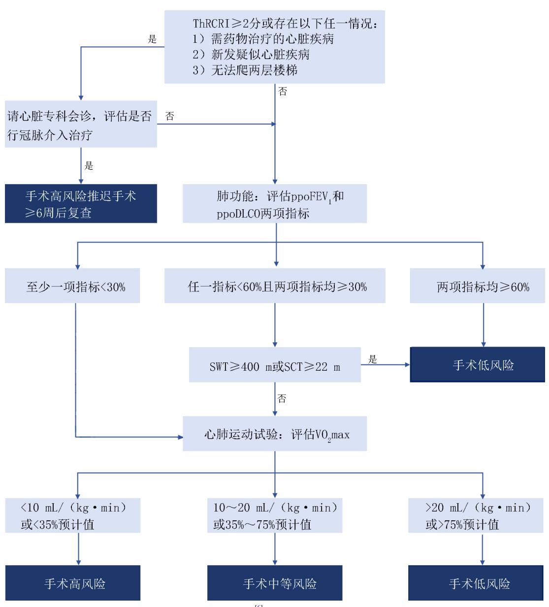 【肺癌患者心肺功能整体评估专家共识】基于心肺功能整合评估的肺癌手术风险分层流程