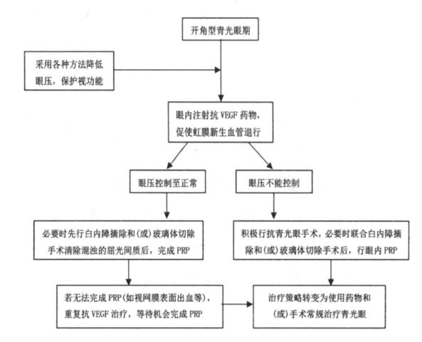 【西藏自治区新生血管性青光眼诊疗专家共识(2024年)】诊疗流程图