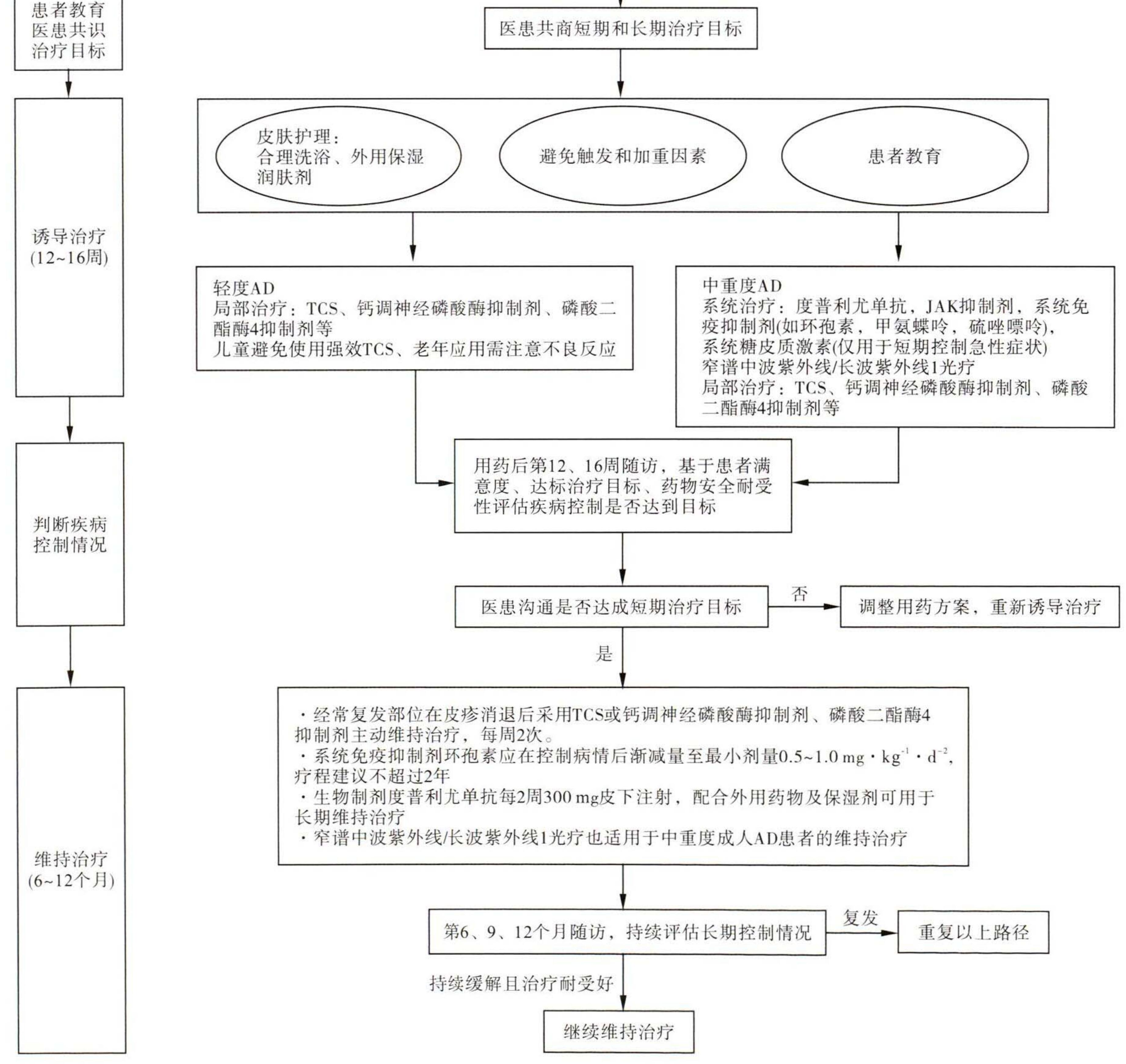 【药物作用机制示意图】度普利尤单抗通过结合IL-4Rα亚基,同时阻断I型和II型IL-4受体复合物的信号转导。