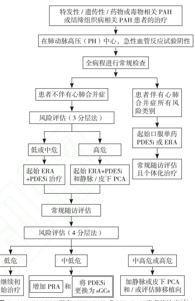 【2022 ESC/ERS肺动脉高压诊治指南】AVT阴性PAH患者治疗流程图
