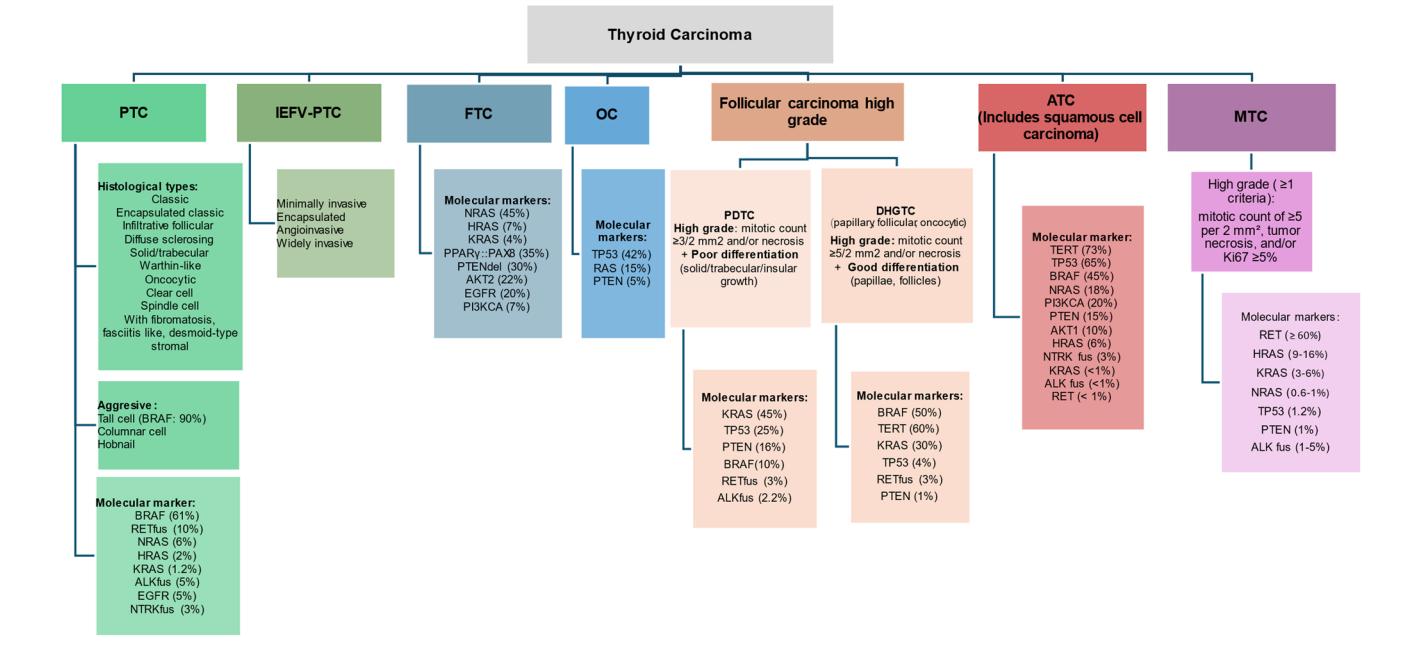 FLOWCHART/Thyroid Carcinoma Classification and Molecular Markers