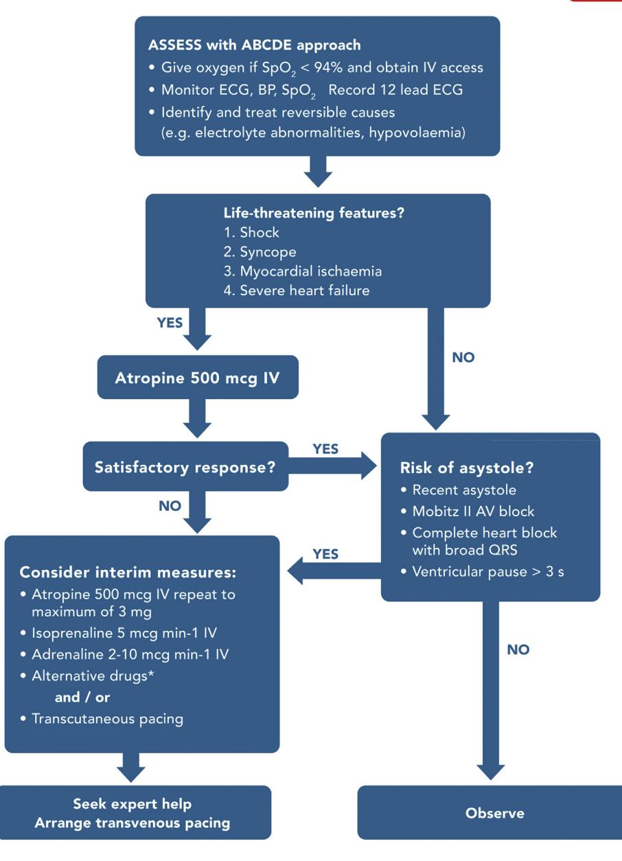 image_category: FLOWCHART/Bradycardia Management Algorithm | body_region: NA | specialty: Emergency Medicine | summary: A clinical flowchart detailing the assessment and treatment pathway for bradycardia, prioritizing the identification of life-threatening symptoms and the use of Atropine or pacing. | detail: The image presents a structured clinical algorithm for the management of bradycardia, likely derived from advanced life support guidelines. It is visually organized as a top-down flowchart with blue rectangular nodes and directional arrows. The process initiates with a comprehensive 'ABCDE' assessment, emphasizing oxygenation (target SpO2 > 94%), intravenous access, and continuous monitoring of vital signs (ECG, BP, SpO2). A critical diagnostic step involves screening for life-threatening 'red flag' features: shock, syncope, myocardial ischaemia, and severe heart failure. If these are present, the algorithm mandates immediate pharmacological intervention with Atropine 500 mcg IV. For patients with an unsatisfactory response, the pathway branches into interim measures, including repeated Atropine (up to a 3 mg maximum), infusions of Isoprenaline (5 mcg/min) or Adrenaline (2-10 mcg/min), and transcutaneous pacing, culminating in a recommendation for expert consultation and transvenous pacing. Conversely, if life-threatening features are absent, the clinician must evaluate the risk of asystole based on specific ECG findings: recent asystole, Mobitz II AV block, complete heart block with broad QRS, or ventricular pauses exceeding 3 seconds. High-risk patients proceed to interim measures, while low-risk patients are managed with observation. This flowchart serves as a vital tool for rapid clinical decision-making in emergency cardiac care. | entities: diseases=Bradycardia, Shock, Syncope, Myocardial ischaemia, Severe heart failure, Asystole, Mobitz II AV block, Complete heart block, Electrolyte abnormalities, Hypovolaemia; anatomical_structures=Heart; interventions=ABCDE approach, Oxygen administration, IV access, ECG monitoring, BP monitoring, SpO2 monitoring, Transcutaneous pacing, Transvenous pacing; biomarkers=SpO2, Electrolytes; medications=Atropine, Isoprenaline, Adrenaline; findings=SpO2 < 94%, Ventricular pause > 3 s, Broad QRS, Mobitz II AV block | measurements: SpO2 threshold 94 %; Atropine dose 500 mcg; Atropine max dose 3 mg; Isoprenaline dose 5 mcg/min; Adrenaline dose 2-10 mcg/min; Ventricular pause 3 s