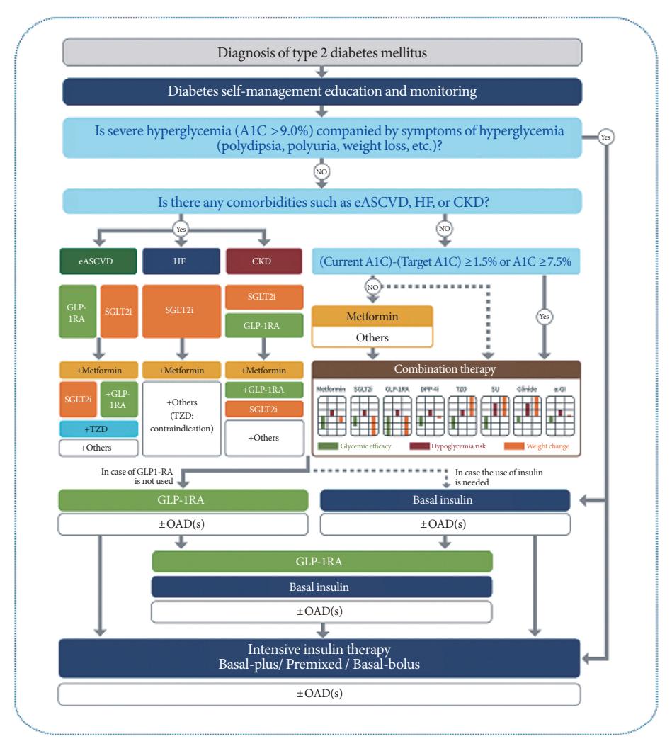 【Clinical Treatment Algorithm】T2DM management flowchart