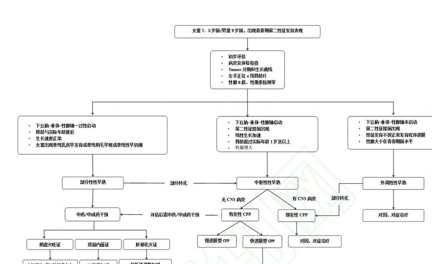 【儿童性早熟中西医结合诊疗指南(2023版)】儿童性早熟诊疗路径图