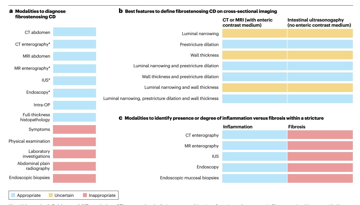 【A global consensus on the definitions, diagnosis and management of fibrostenosing small bowel Crohn’s disease in clinical practice】Consensus recommendation chart