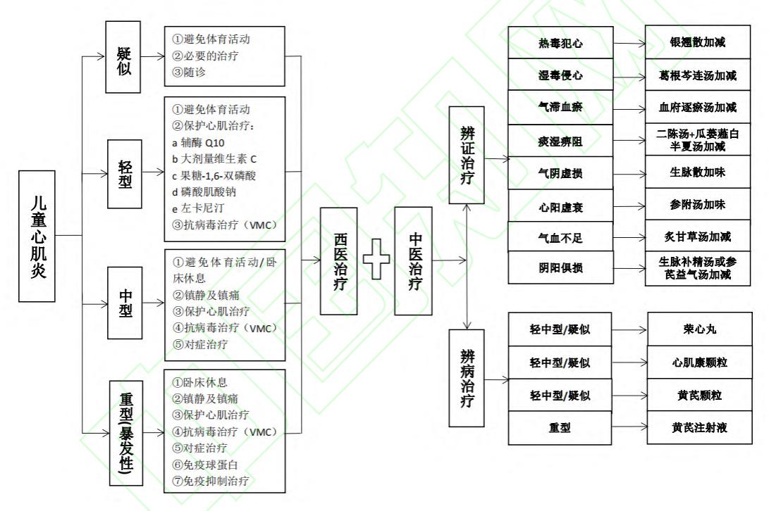 【儿童心肌炎中西医结合诊疗指南】诊疗路径图